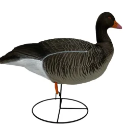 OIE CENDREE HD SUR PATTES GAGNAGE