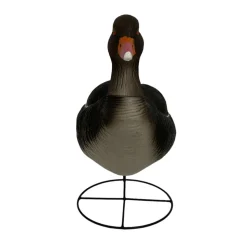 OIE CENDREE HD SUR PATTES GAGNAGE