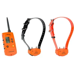 PACK CANICOM 1000 ORANGE - 2 CHIENS