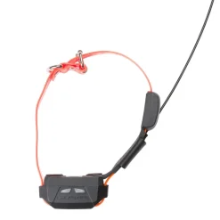 PACK CANICOM GPS 2 MINI AVEC DRESSAGE