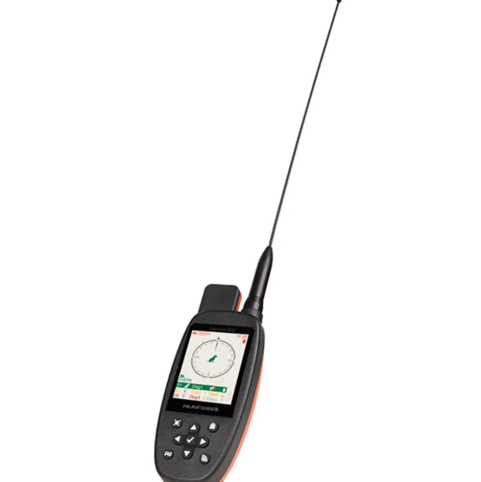 PACK CANICOM GPS 2 MINI AVEC DRESSAGE