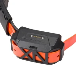PACK CANICOM GPS 2 MINI AVEC DRESSAGE