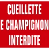 PANNEAU AKILUX CUEILL.CHAMPIGNONS