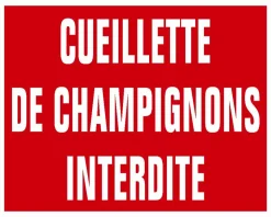 PANNEAU AKILUX CUEILL.CHAMPIGNONS