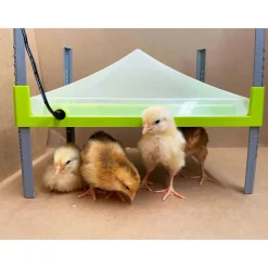 PANNEAU CHAUFFANT POUR POUSSINS 30,5X23 CM