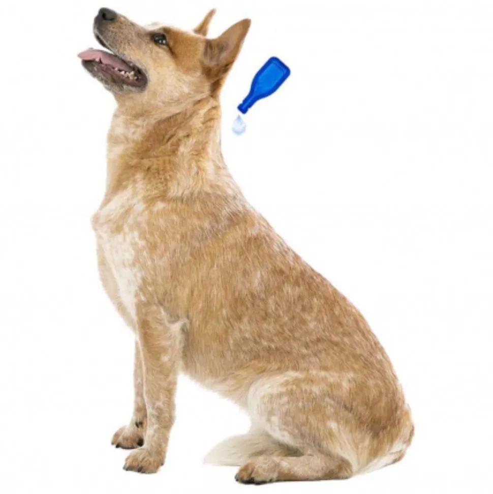 PIPETTES FIPROTEC PETIT CHIEN X4