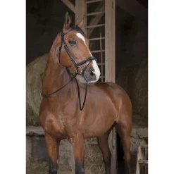 RENES HUNTER PRO 16MM CHEVAL HAVANE