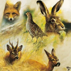 SERVIETTE ANIMAUX SAUVAGES