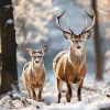 SERVIETTE CERFS DANS LA NEIGE
