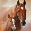 SERVIETTE CHEVAL AVC POULAIN