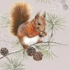 SERVIETTE ECUREUIL D'HIVER