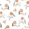 SERVIETTE FAMILLE D'OISEAUX