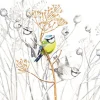 SERVIETTE PETITS OISEAUX