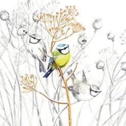 SERVIETTE PETITS OISEAUX
