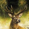 SERVIETTE PORTRAIT DE CERF