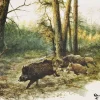 SERVIETTE SANGLIER EN FORET