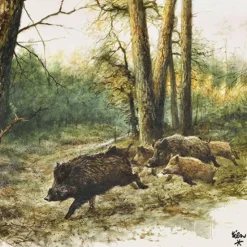 SERVIETTE SANGLIER EN FORET