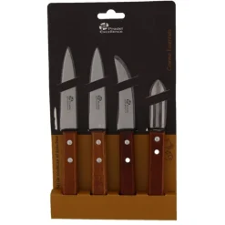 SET 4 COUTEAUX MANCHE BOIS