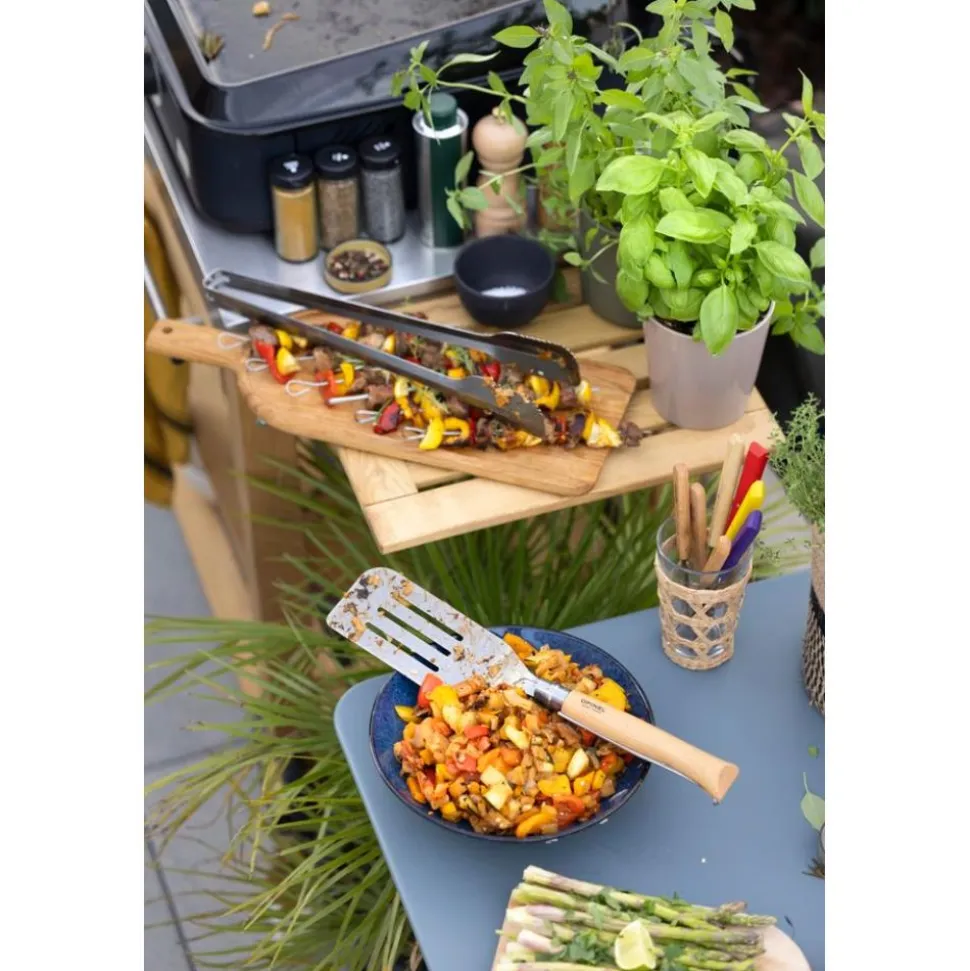 SET BARBECUE BROCHABLE