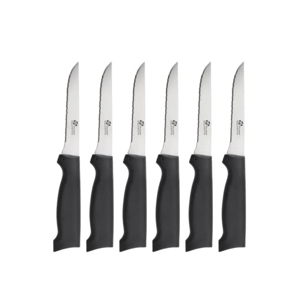 SET DE 6 COUTEAUX COTE A L'OS