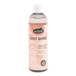 SHAMPOING EASY SHINE 500ML