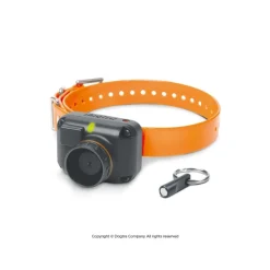 SONAILLON BEEPER DOGTRA STB BEEP - H (BEEP AIGU)