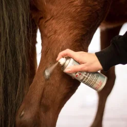 SPRAY A L'OXYDE DE ZINC 200ML
