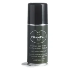 SPRAY ENTRETIEN BOTTE