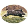 STICKER GRAND MODELE SANGLIER