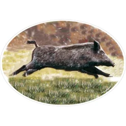 STICKER GRAND MODELE SANGLIER