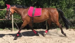 TAPIS DE SELLE FIGARA CHEVAL