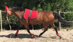 TAPIS DE SELLE FIGARA CHEVAL