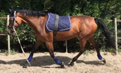 TAPIS DE SELLE FIGARA PONEY
