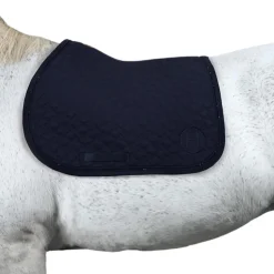 TAPIS SAPHIR CSO