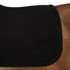 TAPIS SAPHIR CSO