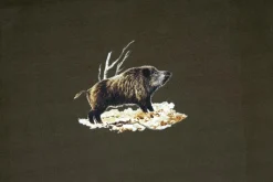 TEE SHIRT SANGLIER KAKI