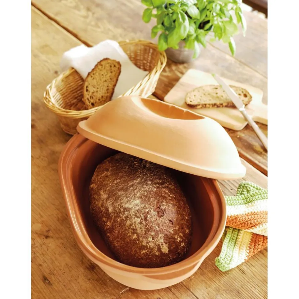 TERRINE / COCOTTE EN TERRE CUITE