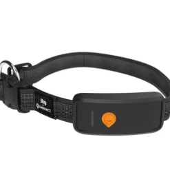 TRACEUR GPS XT AVEC COLLIER