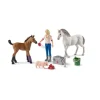 VISITE DU VETERINAIRE PR JUMENT ET POULAIN