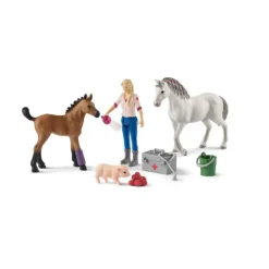VISITE DU VETERINAIRE PR JUMENT ET POULAIN